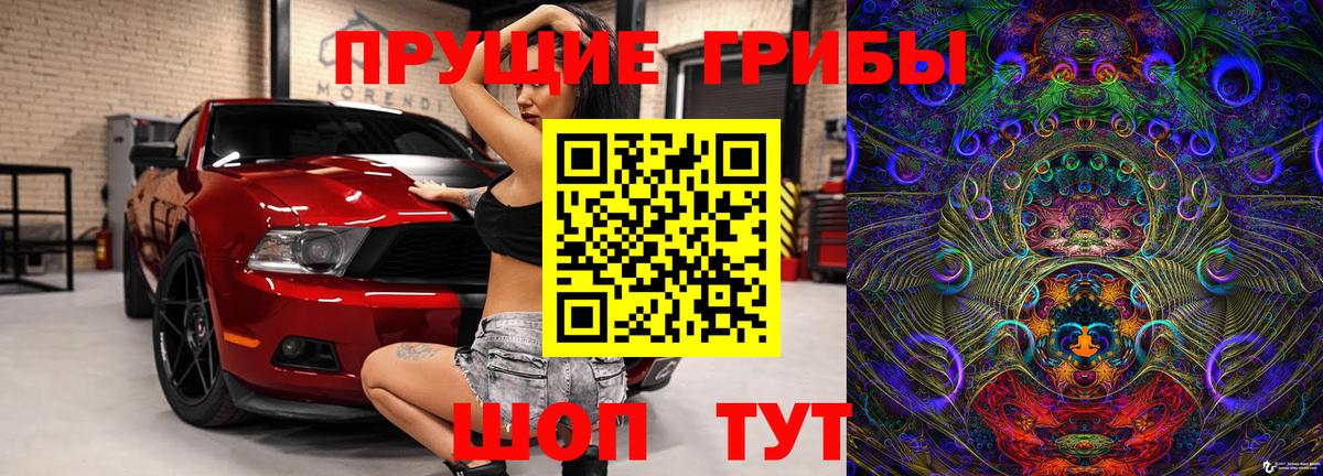 Псилоцибиновые грибы GOLDEN TEACHER  Вход с VPN  Галлюциногенные грибы прущие грибы  как найти закладки  Электрогорск 