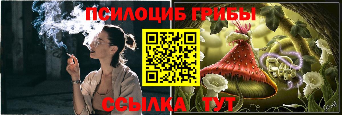 Галлюциногенные грибы MAGIC MUSHROOMS Электрогорск